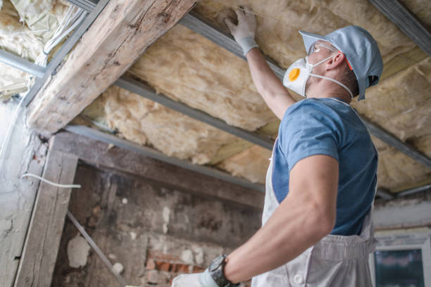 Best Affordable Insulation Services  in Clinton, PA