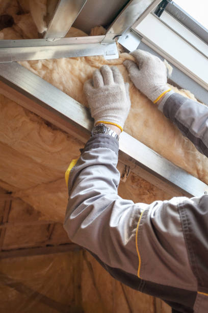 Best Insulation Repair Services  in Clinton, PA