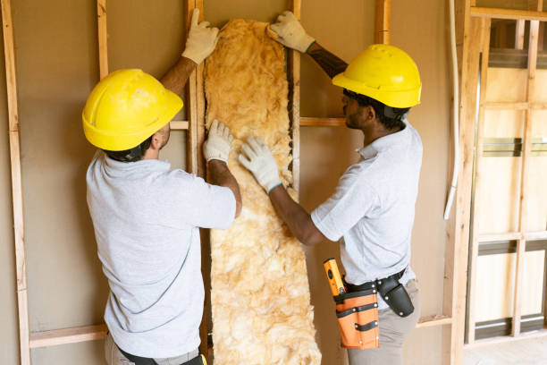 Best Insulation Replacement Services  in Clinton, PA